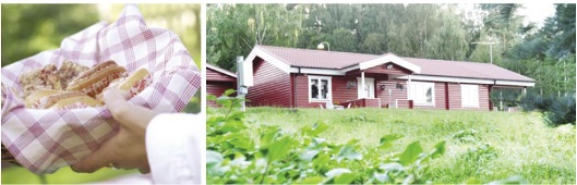 Bilden &auml;r h&auml;mtad fr&aring;n H&auml;lsingestugor&acute;s hemsida