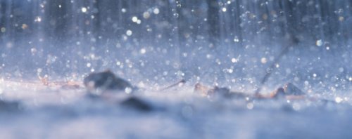 regn_